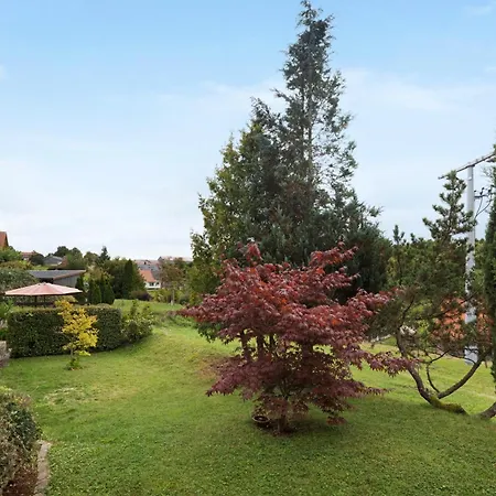 Apartamento Rauscher *